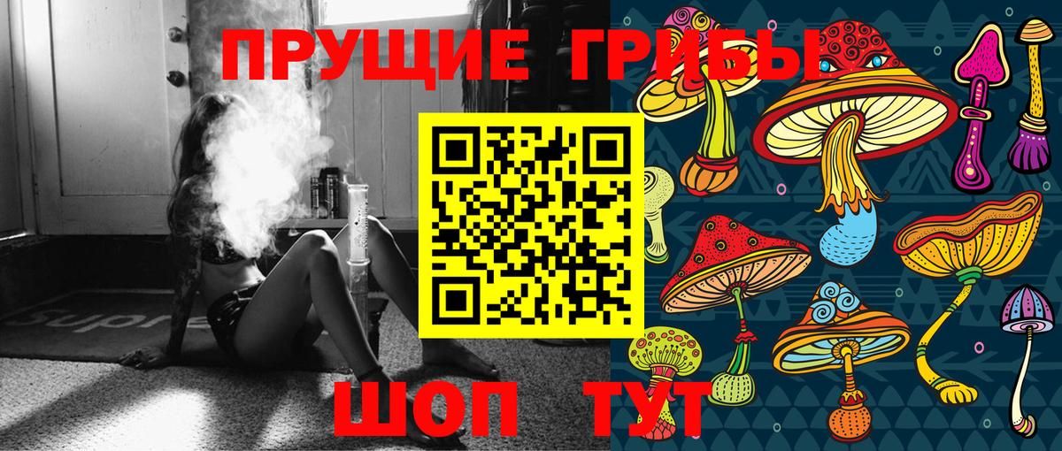 Галлюциногенные грибы мицелий Шумерля